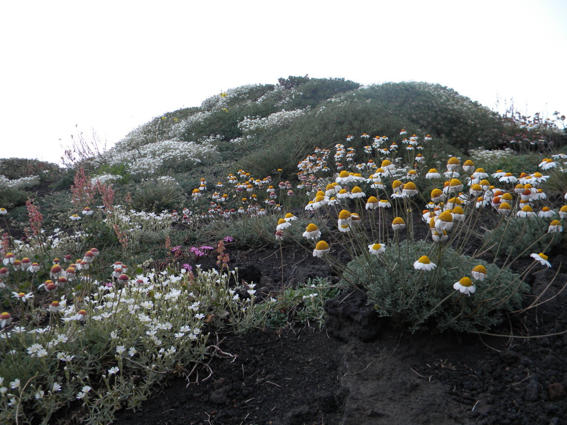 DSCN9510 .JPG